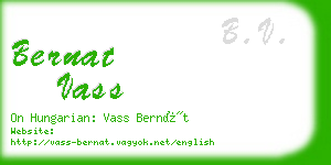 bernat vass business card